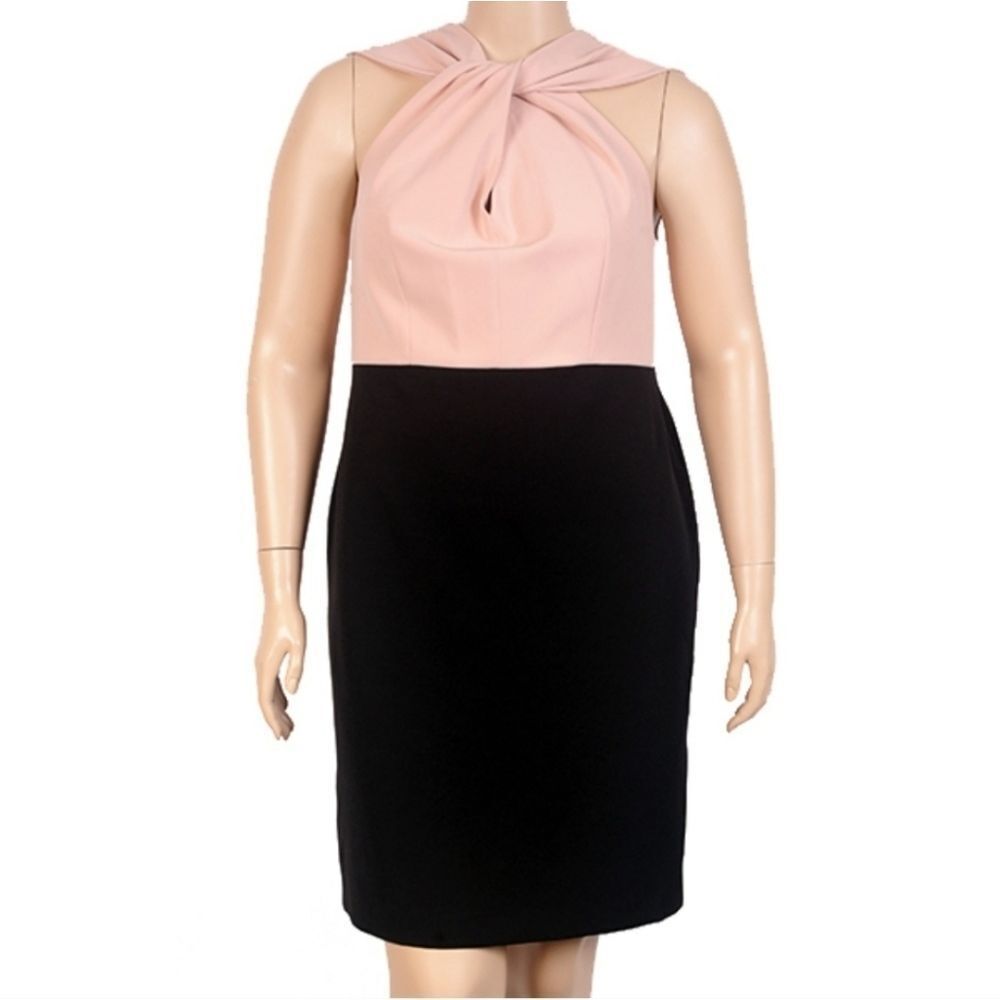 Mynt 1792 12W & 14W Blush and Black Dress